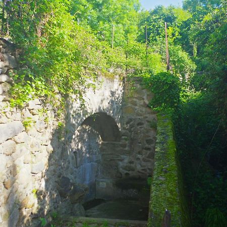 Puig Roja Del Roser Prats-de-Mollo-la-Preste Bagian luar foto